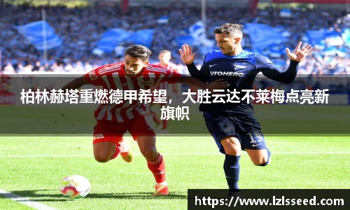 yy易游