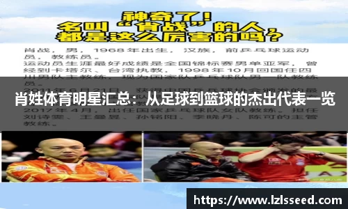 yy易游