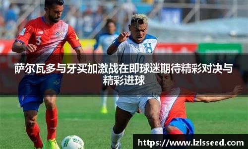 yy易游
