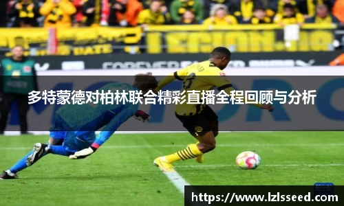 yy易游