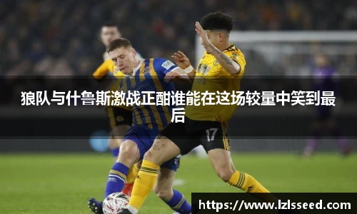 yy体育