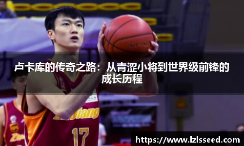yy易游