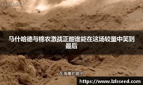yy易游